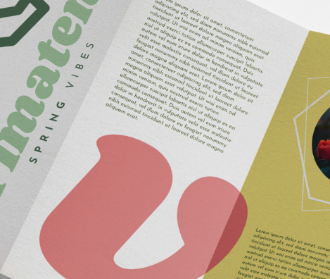 Detalle de la textura verjurada Diamante a contraluz